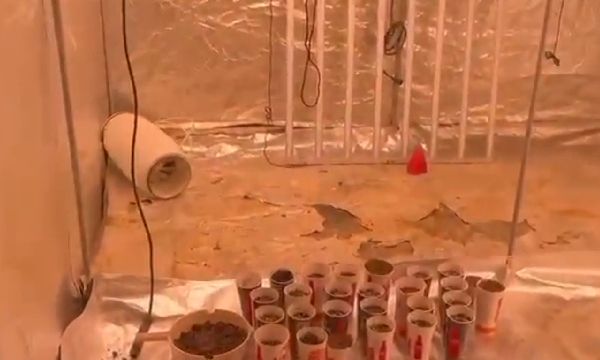 Evini uyuşturucu serasına çevirmiş!